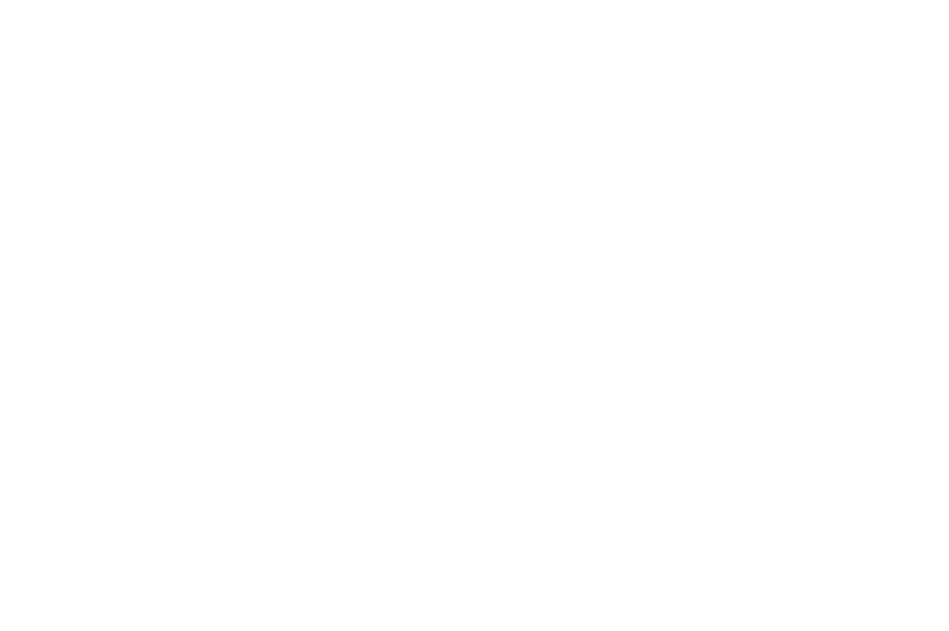 Grupo Vetus